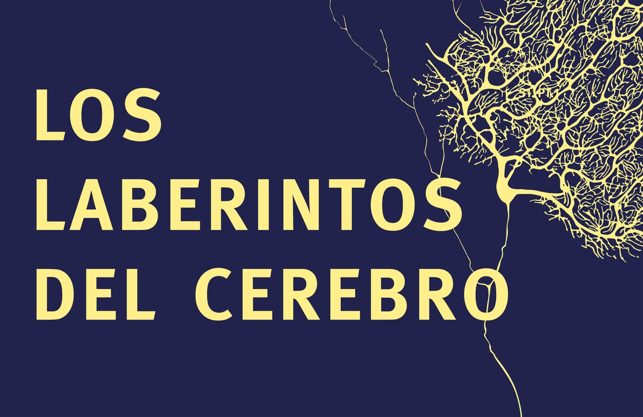 Ciclo de charlas "Los laberintos del cerebro"