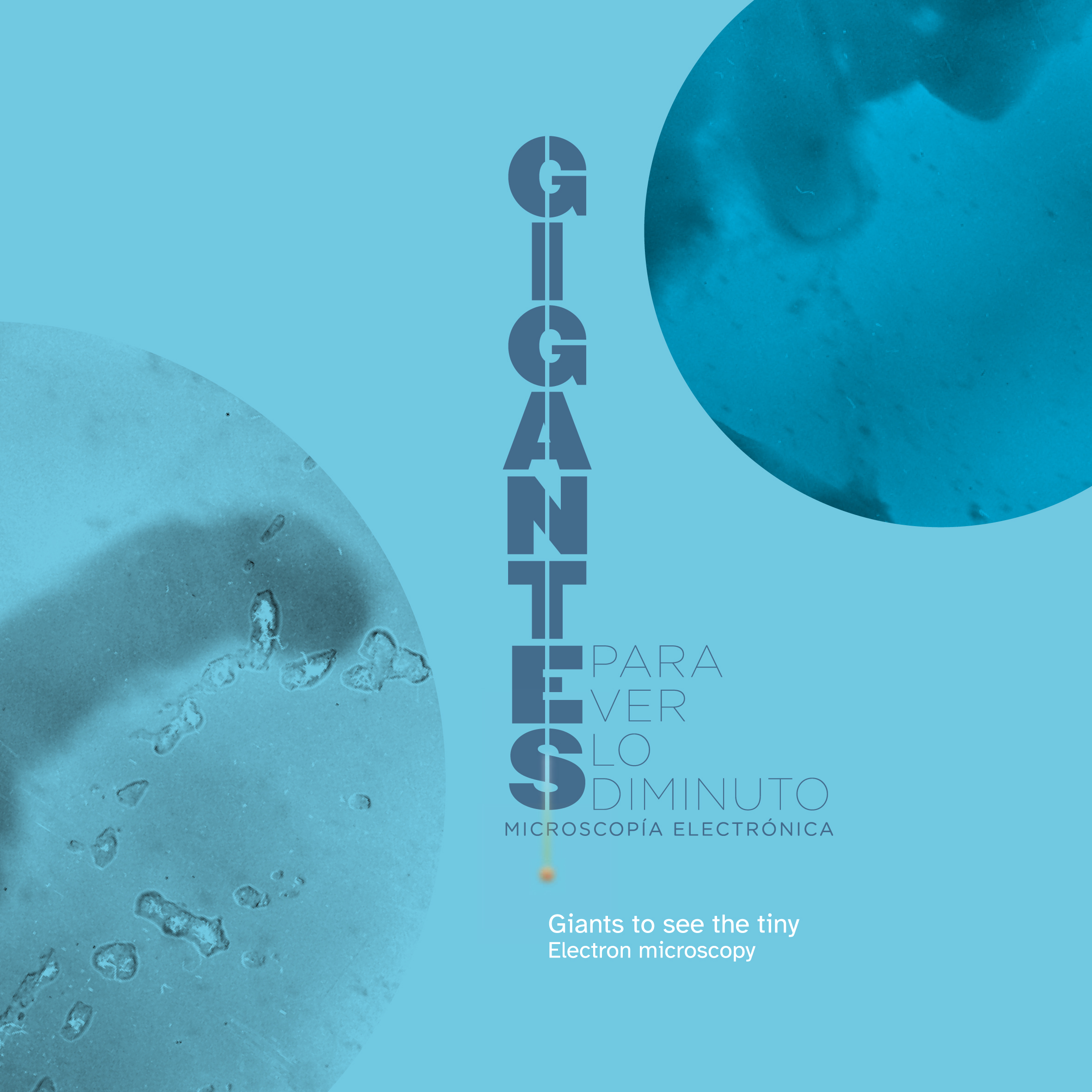 Catálogo "Gigantes para ver lo diminuto"