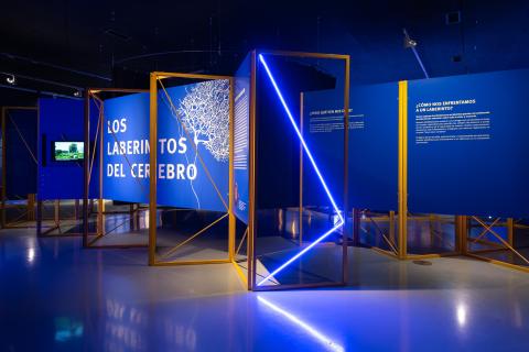 Los laberintos del cerebro