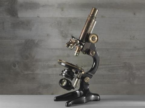 Microscopio