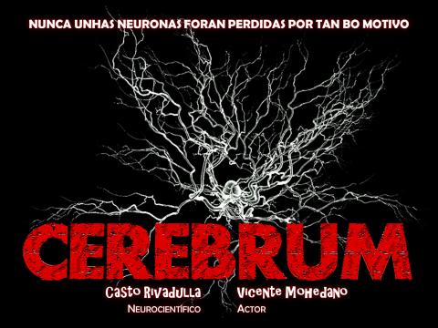 Cerebrum