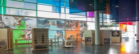 Exposición Cervantes MUNCYT Alcobendas